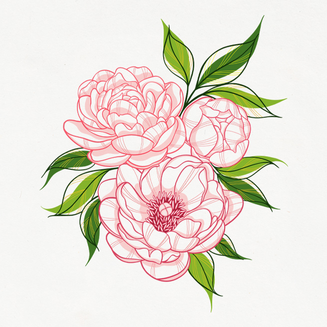 Eastern Spring Co Illustration with peonies flowers