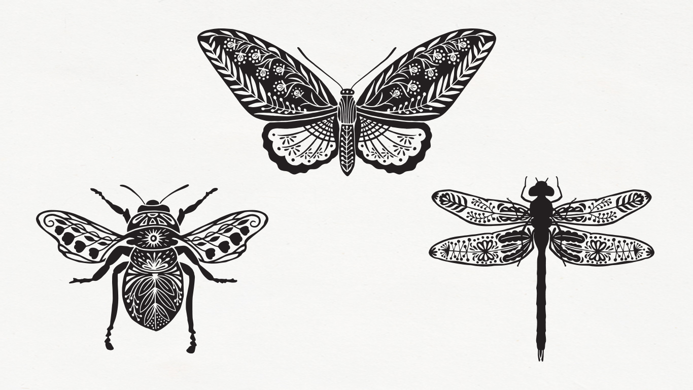 Eastern Spring Co Illustration, butterfly, beetle and dragonfly decorative illustration.
